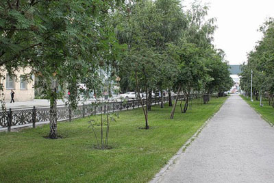Аллея на Красном проспекте г.Новосибирска